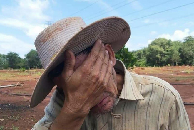 Lão nông 71 tuổi ở xã Tân Thành, huyện Bình Tân (Vĩnh Long) khóc ròng vì lỗ khoảng 80 triệu đồng khi thuê 4.000 m2 đất trồng khoai lang. Ảnh: Zing
