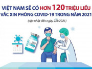 Tin tức trong ngày - Infographic: Toàn cảnh đàm phán, mua và cung ứng hơn 120 triệu liều vắc-xin COVID-19 tại VN