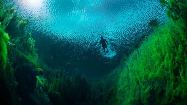 Piccaninnie Ponds - Nam Úc: Được lặn dưới bề mặt của những vùng đất ngập nước ngọt như ở một thế giới khác này là trải nghiệm kỳ lạ nhưng rất khó quên. 
