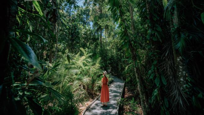 Rừng nhiệt đới Daintree - Queensland: Hãy cảm nhận trải nghiệm&nbsp;thú vị ngập tràn màu xanh khi bạn bước vào Daintree - khu rừng nhiệt đới cổ xưa nhất thế giới.&nbsp;
