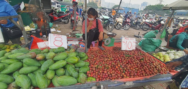 Không chỉ rau, thực phẩm mà hoa quả tại chợ đầu mối cũng có giá rẻ chỉ bằng 1/2 giá bán tại chợ cóc.