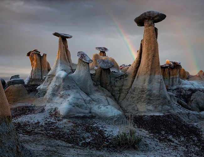 Hoodoos,  Ah-Shi-Sle-Pah Wilderness, Mỹ: Thoạt nhìn, những vật thể này giống như một bộ sưu tập nấm khổng lồ, nhưng Hoodoos là những ngọn tháp đá cao hình thành trên sa mạc khô cằn. 
