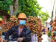 Thị trường - Tiêu dùng - Ưu tiên tiêm vắc xin cho các lái xe, thương lái thu mua nông sản