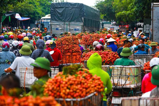 Bộ NN&amp;PTNT đề nghị các địa phương cho phép lưu thông nông sản đối với hàng hóa, lái xe, và phương tiện vận tải giữa các vùng có dịch và vùng có nguy cơ cao