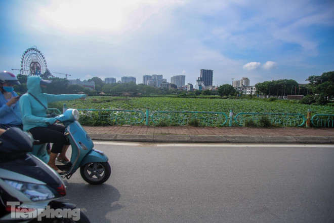 Việc đầm sen tạm dừng hoạt động khiến nhiều người tiếc nuối.