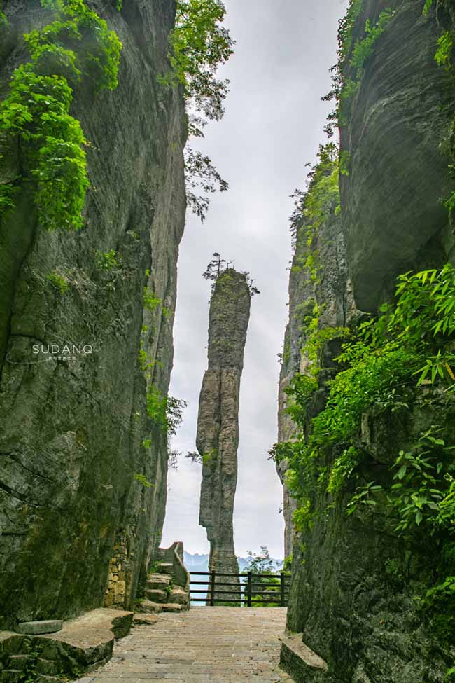 Yizhuxiang cao 150m, đường kính đáy cột rộng nhất 6m, nhỏ nhất 4m. Điều này rất hiếm gặp ở các dạng địa hình karst tương tự.

