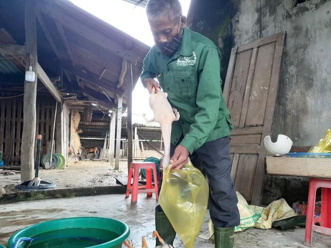 Để vớt vát trong đợt dịch này, người đàn ông tự thịt vịt để đi bán cho các hộ dân trong khu vực bị phong tỏa.