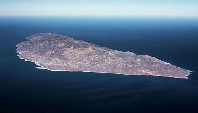 Đảo Cerralvo ở Mexico: Đảo Cerralvo ở Mexico được biết đến với hệ sinh vật biển phong phú và mang đến trải nghiệm câu cá tốt nhất. Cá kiếm, cá cờ và cá mú vàng là những loại cá phổ biến nhất ở đây. 

