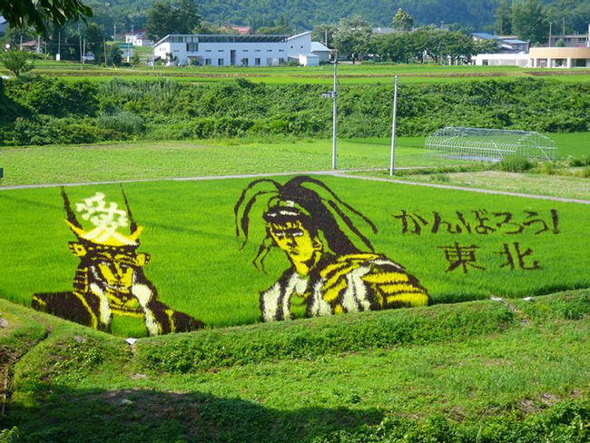 Cánh đồng nghệ thuật: Những người nông dân ở Nhật Bản sử dụng sự điêu luyện của mình để tạo ra các tác phẩm nghệ thuật ngay trên cánh đồng trồng lúa. Họ đã sử dụng các loại lúa khác nhau để tạo ra màu sắc cho những bức tranh hoàn hảo. 
