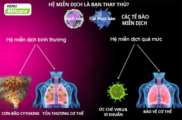 Giải mã công thức KENU MHcare - tăng cường chức năng hô hấp - 1
