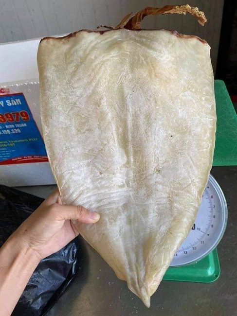 Mỗi con mực nặng từ 0,4-0,6kg nhưng có giá chỉ từ 300.000 đồng/kg.