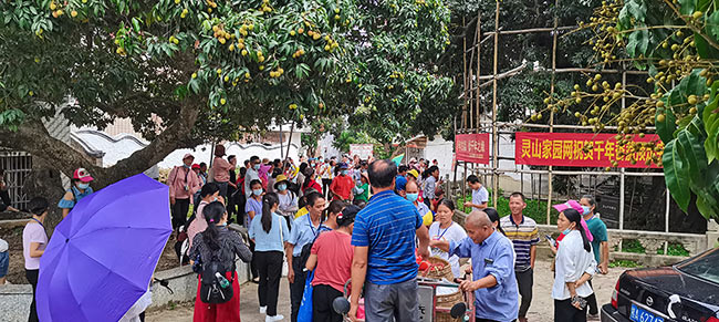 Cây vải thiều này trở thành điểm du lịch, hàng ngày có rất nhiều người đến chiêm ngưỡng