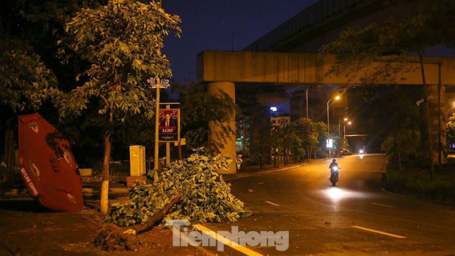 Ven hồ Hoàng Cầu (Đống Đa- Hà Nội) cây bật gốc đổ ra đường tiềm ẩn nguy hiểm cho người tham gia giao thông.