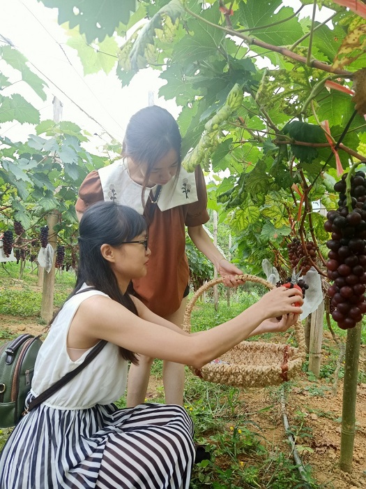 Liều mình ôm 200 triệu lên núi khởi nghiệp, 7x Bắc Kạn mỗi năm thu gần tỷ đồng - 5