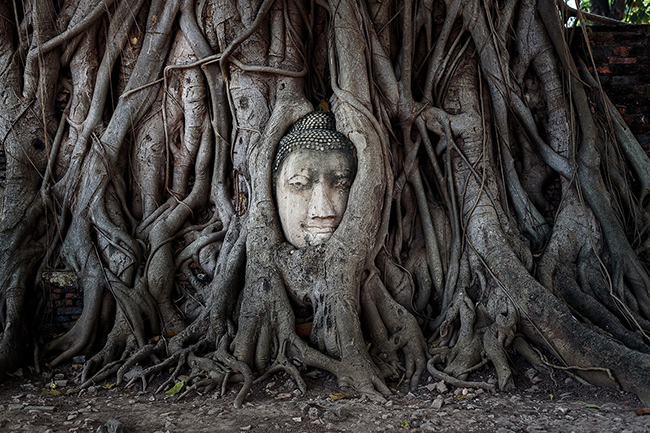 Đừng tỏ ra không tôn trọng các vị thần: Hãy tránh có những lời nói, cử chỉ&nbsp;phỉ báng, cười cợt bất kỳ vị Chúa, thần, Phật nào ở các quốc gia bạn đang đi qua. Tôn giáo là một phần lớn trong cuộc sống của con người ở đây và mọi thứ có thể trở nên tồi tệ.&nbsp;