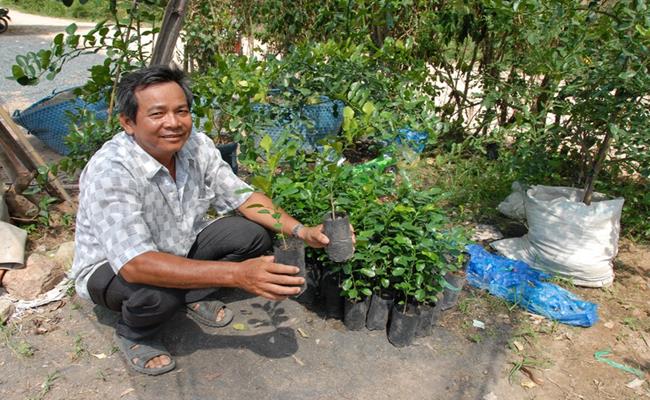 Còn ông Nguyễn Văn Hải ở vùng Bảy Núi, một nhà vườn chuyên cung cấp cây chúc giống chia sẻ, mỗi năm vườn ông ươm giống được hàng ngàn cây, bán với giá trung bình từ 15.000 – 30.000đ/cây.

