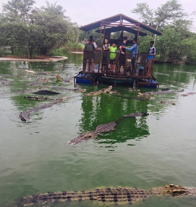 Các người đã bị bao vây, hãy chấp nhận đầu hàng đi.
