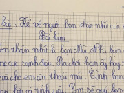 Giáo dục - du học - Bài văn tả về người bạn thân của bé gái tiểu học khiến cộng đồng mạng bật cười về độ giàu có
