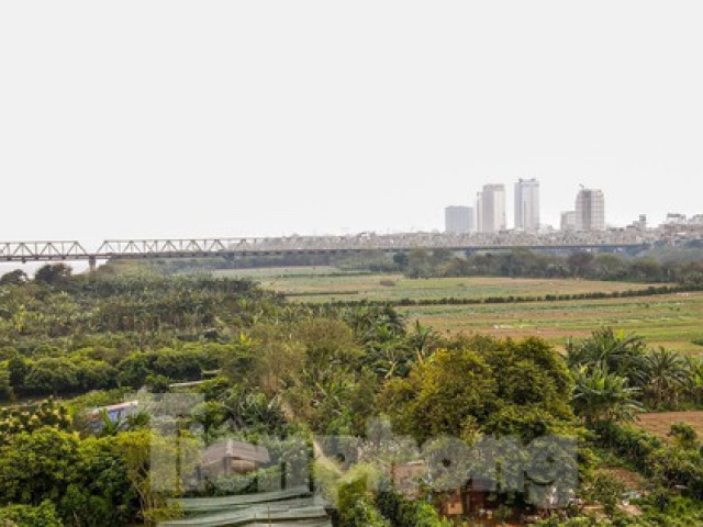 Cận cảnh khu vực bãi giữa sông Hồng dự kiến làm công viên văn hóa