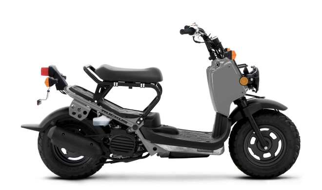 Honda Ruckus