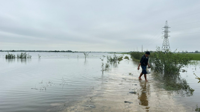 Cánh đồng lúa Ba Vùng ở xã Hương Toàn, thị xã Hương Trà ngày 4-4 vẫn chìm trong biển nước