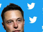 Công nghệ thông tin - Elon Musk trở thành cổ đông lớn nhất của Twitter