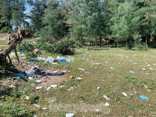 Ngoài trên bờ biển, rác còn tràn ngập ở các rừng phi lao phía trong bờ kè ở bãi biển Xuân Hải.