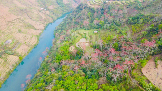 Núi sông vây dựng thành chiến địa. Cây đứng canh nơi cửa ngõ này.