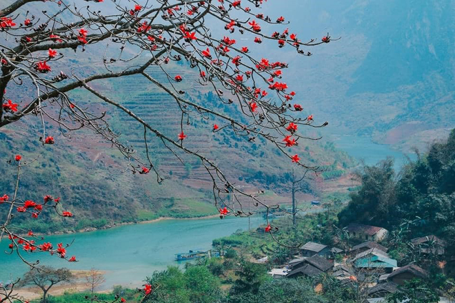 Mộc miên đỏ rực trên những bản làng biên giới.