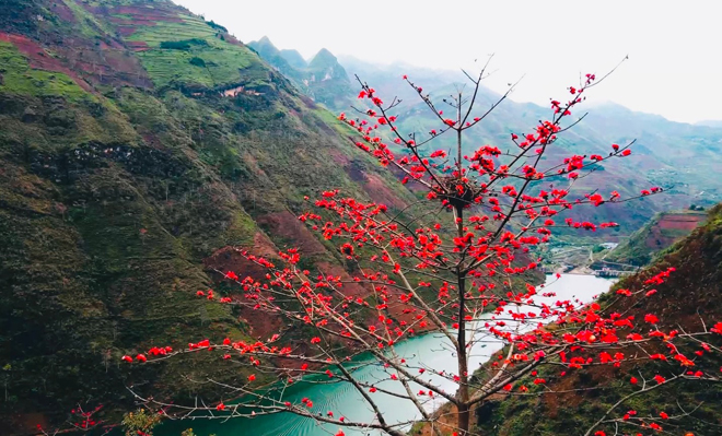 Thân gầy guộc để nuôi hoa...