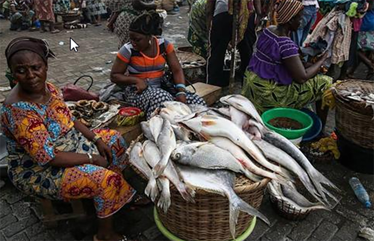 Người dân châu Phi chủ yếu lựa chọn cách nướng hoặc đun cá với nước suông, không cho gia vị để át mùi tanh, có lẽ vì thế mà người dân ở đây không mấy mặn mà với hải sản
