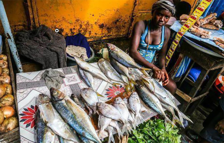 Những mẹt hải sản giá rẻ hơn cả rau củ quả tại chợ châu Phi.
