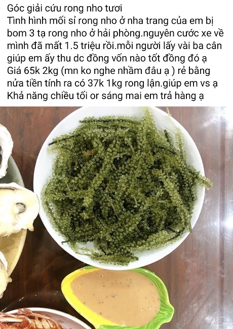 Rong nho hiện tại được rao bán với giá chỉ từ 35-37 nghìn đồng/kg. (Ảnh chụp màn hình).