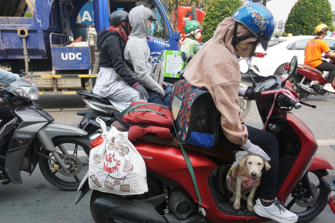 Chị Phương Duyên cùng thú cưng trên đường trở về quê ở tỉnh Bến Tre