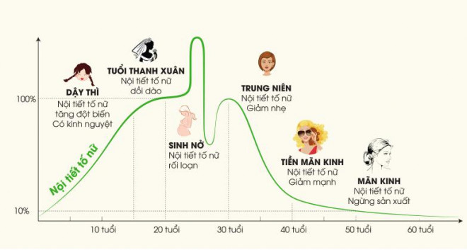 Nội tiết tố nữ estrogen ảnh hưởng đến ham muốn tình dục.