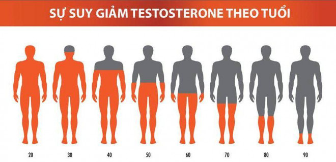 Sự suy giảm testosterone của đàn ông theo độ tuổi.