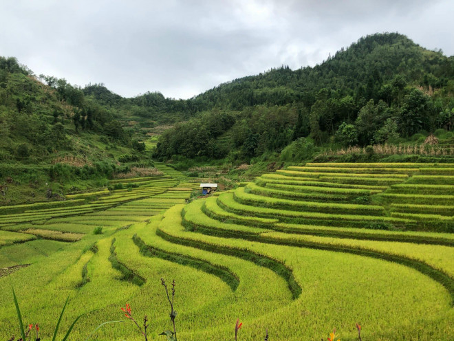 &#34;Thiên đường chẳng đâu xa vời&#34; ở Lô Lô Chải là có thật - 7