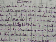 Bạn trẻ - Cuộc sống - Bài văn tả chú mèo hàng xóm của bé gái tiểu học khiến cộng đồng mạng cười nghiêng ngả