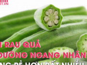 Ẩm thực - Loại rau quả bổ dưỡng ngang nhân sâm nhưng mua rẻ hơn rất nhiều