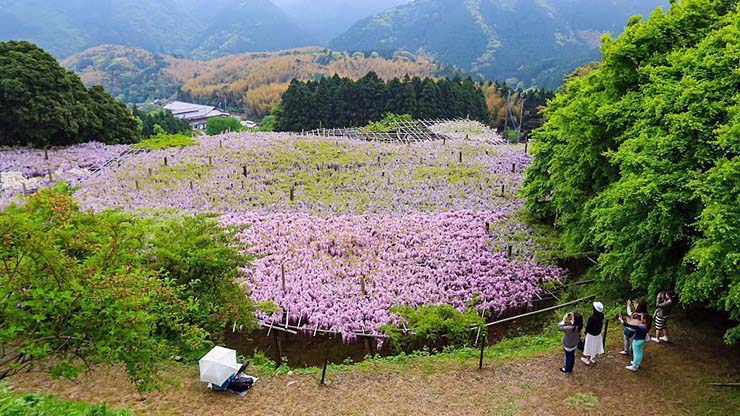 4. Địa điểm này nằm ở tỉnh Fukuoka, ngay bên ngoài thị trấn Kitakyushu.
