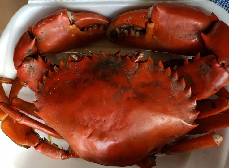 Để được thưởng thức, nhiều người phải đặt trước cả tuần mới có.