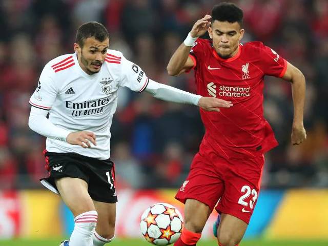 Trực tiếp bóng đá Liverpool - Benfica: Đại tiệc hạ màn (Tứ kết Cúp C1) (Hết giờ)