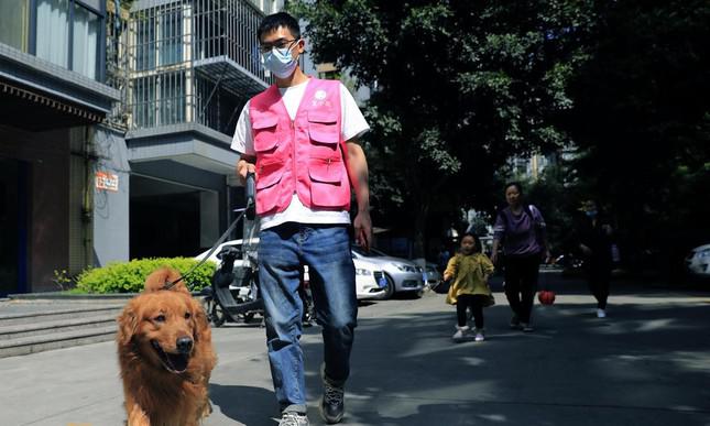 Hình ảnh một chàng trai dắt chó đi dạo thuê tại Thành Đô, Tứ Xuyên (Trung Quốc) hôm 17/3/2022. Ảnh:VCG
