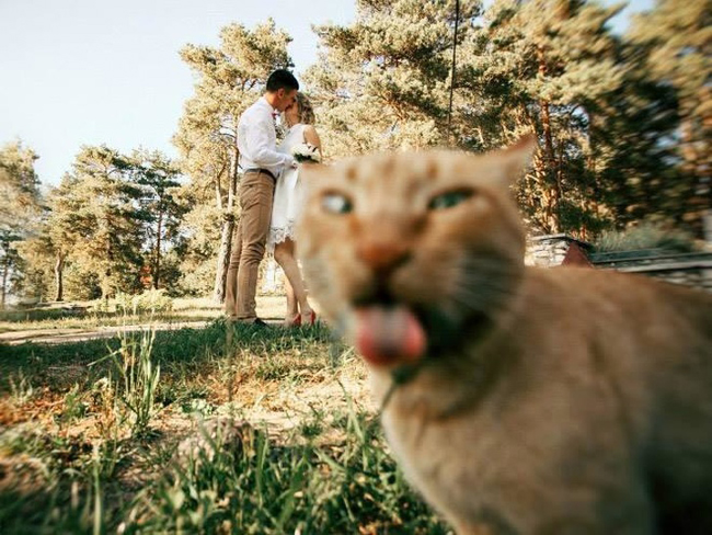 Anh chị lại dám chụp ảnh &#34;mlem&#34; với tôi à.
