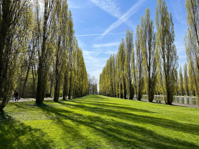 Fall in love with cherry blossoms at Parc de Seaux, Paris - 10