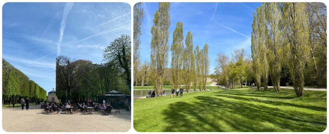 Fall in love with cherry blossoms at Parc de Seaux, Paris - 12