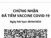 Tin tức trong ngày - Chậm cấp hộ chiếu vắc-xin, người đứng đầu điểm tiêm chủng chịu trách nhiệm