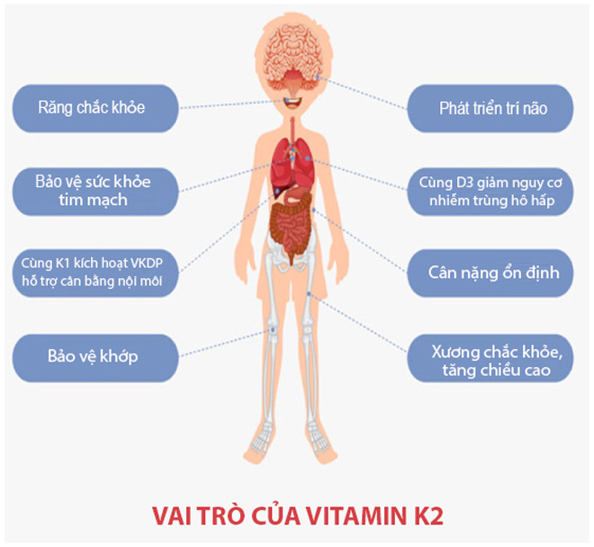 Vitamin K2 giúp trẻ phát triển chiều cao vượt trội và 7 lợi ích hiếm có, đọc xong ai cũng muốn bổ sung ngay! - 4