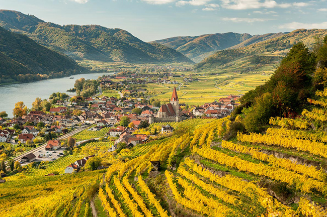 Tour Thung Lũng Wachau và&nbsp;nếm rượu: Hãy tự thưởng cho mình một trải nghiệm độc đáo với một ngày khám phá và nếm thử rượu ở các thung lũng Wachau và Danube. Bạn sẽ rời thủ đô của Áo bằng xe buýt và tận hưởng chuyến du thuyền lãng mạn trên sông Danube.&nbsp;
