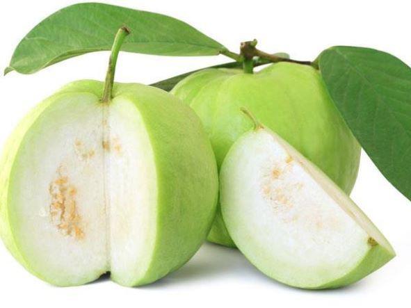 11 remedies from guava tree - 2